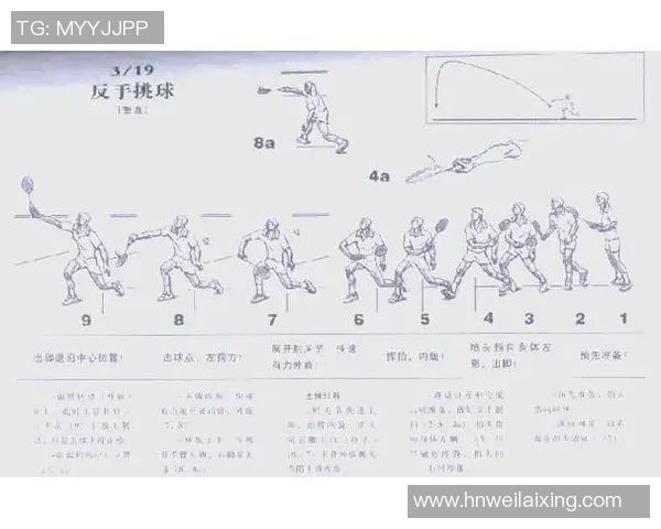杭州羽毛球队耐力训练揭秘与提升策略的深入探讨