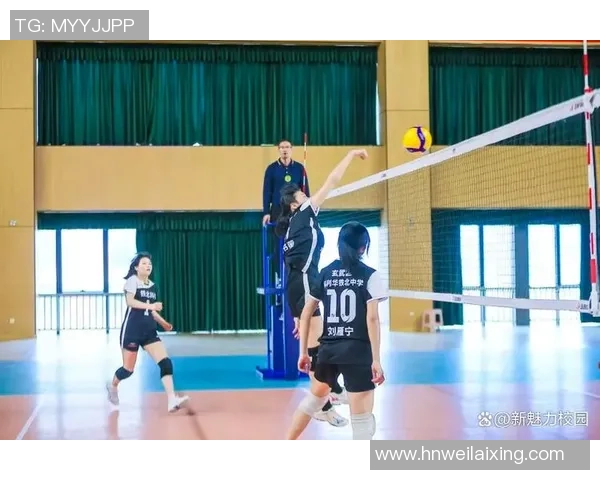 南京排球队最新比赛经验分享排球爱好者必看TOP10技巧解析 南京排球队最新比赛经验分享排球爱好者必看TOP10技巧解析